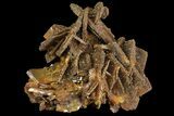 Descloizite on Wulfenite Crystals - Los Lamentos, Mexico #163148-1